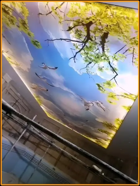 نمونه سقف چاپی استخر