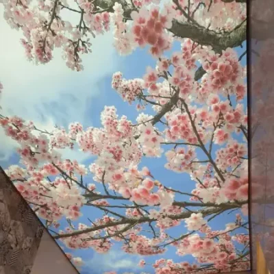 طرح زیبای شکوفه بهاری
