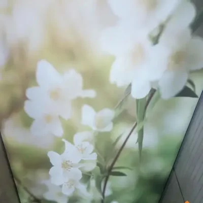 طرح زیبای گل و شکوفه