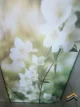 طرح زیبای گل و شکوفه