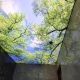 آسمان مجازی برای سقف پذیرایی و آشپزخانه